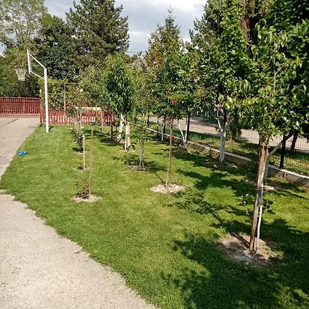 Apartman Milica Vrdnik