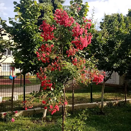 Milica Apartamento Vrdnik