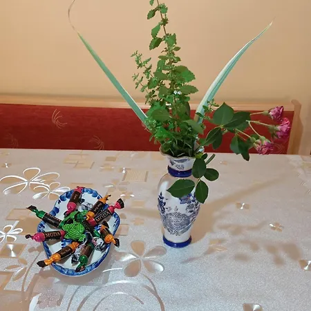 Apartamento Milica *