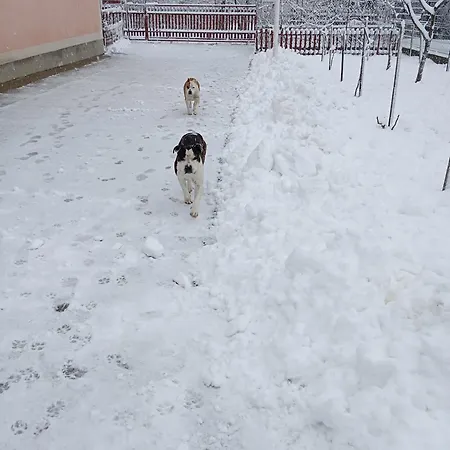 公寓 Milica 维尔蒂尼克