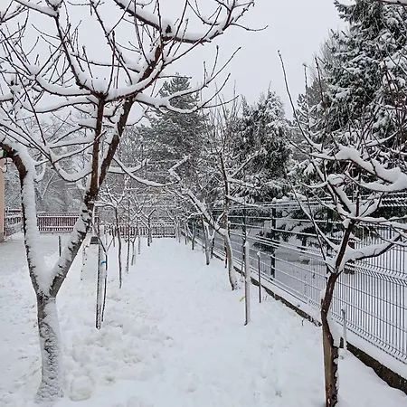 Milica * 维尔蒂尼克