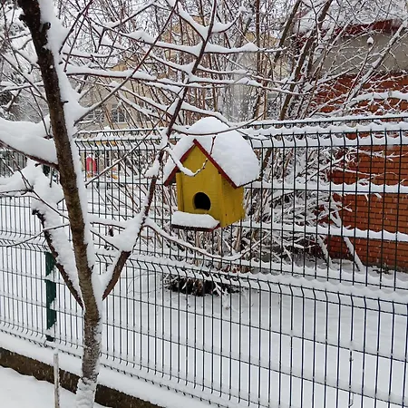 Milica 维尔蒂尼克